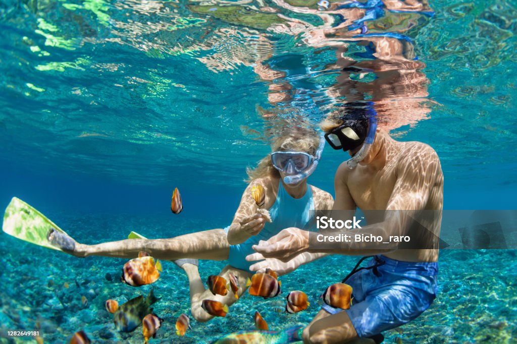 istockphoto-1282649181-1024x1024