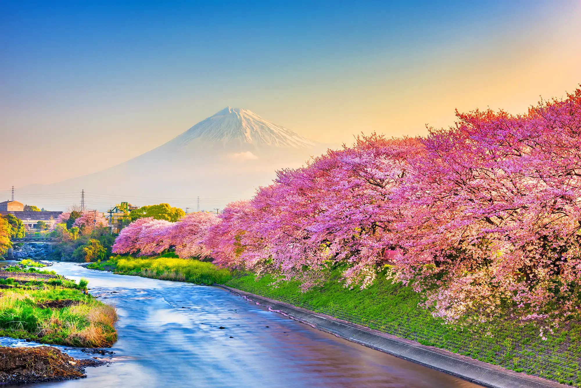 mt-fuji-japan-spring-landscape-2026-03-24-11-25-27-utc (1)