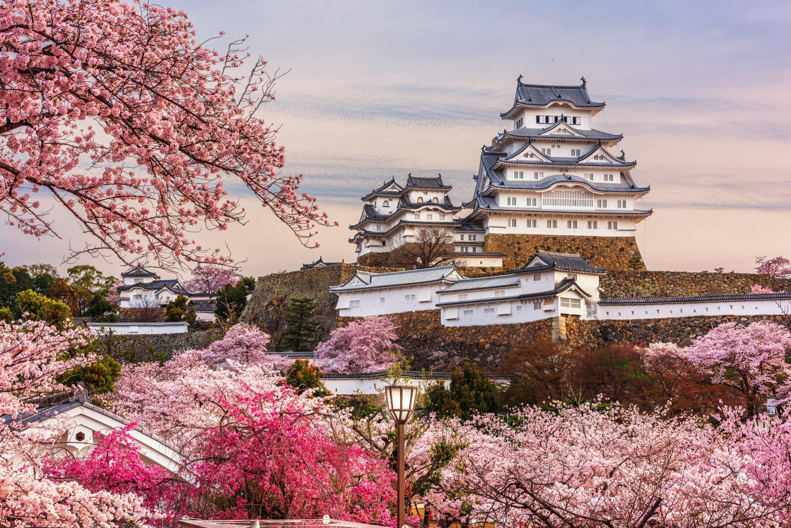 Himeji, Japan at Himeji Castle during spring cherry blossom season.
